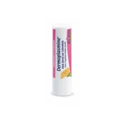 Boiron Dermoplasmine Stick lèvres 4g