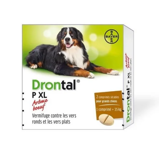 Drontal P XL 2 comprimés vermifuge chiens arôme boeuf