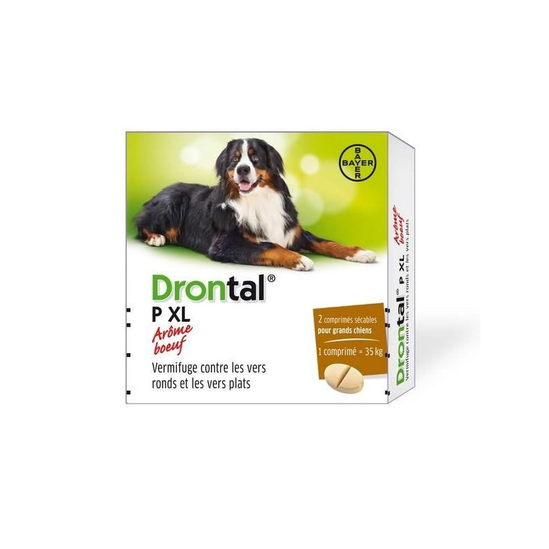 Drontal P XL 2 comprimés vermifuge chiens arôme boeuf