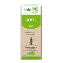 Herbalgem Noyer Bio 30ml