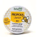 Herbalgem Propolis Junior Bio Gommes Gorge 45 g