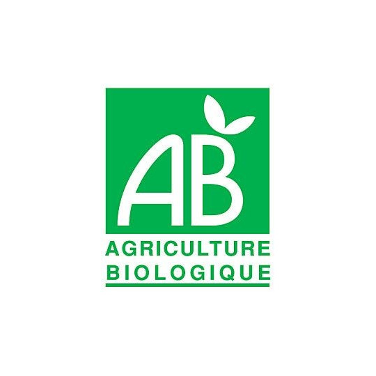 Arkofluides Bio Programme Minceur