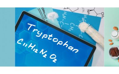 Le Tryptophane, un acide aminé qui vous veut du bien