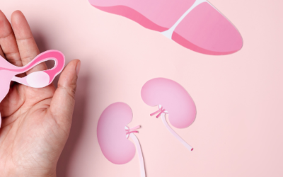 La fertilité chez la femme : Les causes et les solutions