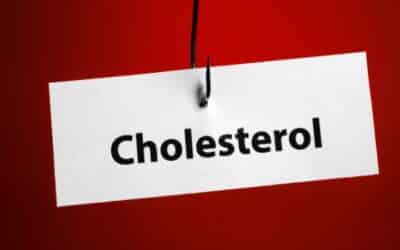 Le cholestérol : un élément clé pour votre santé