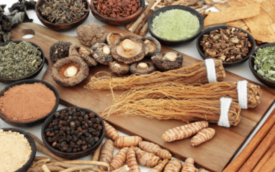 Plantes adaptogènes : Notre top 5 pour mieux gérer le stress